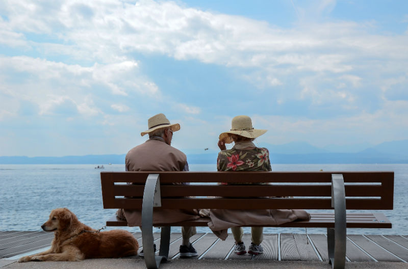 ベンチに座って海を見る犬連れのカップル